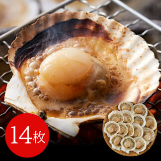 北海道産 ホタテ片貝 14枚 焼き物用 魚介類 水産加工品