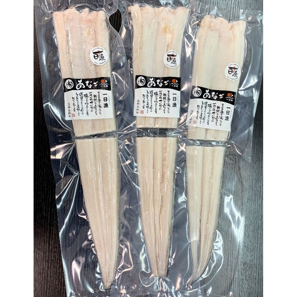 島根県産 特大穴子一夜干し 3尾セット 岡富商店