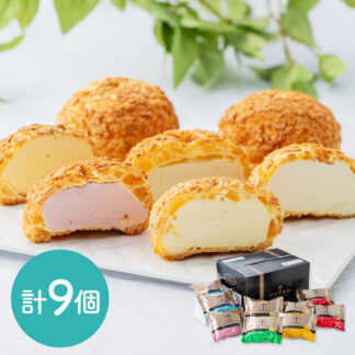 銀座千疋屋 プレミアムシューアイス ギフト 送料無料｜フルーツアイス