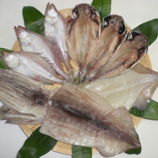 香住港一夜干し エテカレイ アジ スルメイカ 詰め合わせ セット