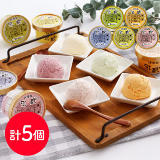 北海道「乳蔵」アイス5個セット 送料無料 ギフト 北海道牛乳使用