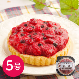 北海道 乳蔵 ミックスベリータルト 5号 ケーキ ギフト 冷凍