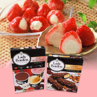 レディーボーデン&苺の宝石箱セット 苺アイスと人気アイスの詰め合わせ