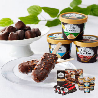 レディーボーデン バラエティセット アイス ギフト 詰め合わせ