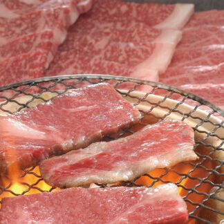 近江牛 ステーキ 焼肉 セット 1.6kg 徳志満 ロース バラ肉 ギフト