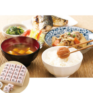 紀州南高梅 梅満開 うす塩味 400g ギフト 贈答用 桐箱入り 個包装