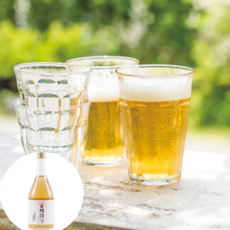 和歌山産 南高梅 梅搾り 4倍希釈 490ml 化粧箱入り ギフト 贈答用