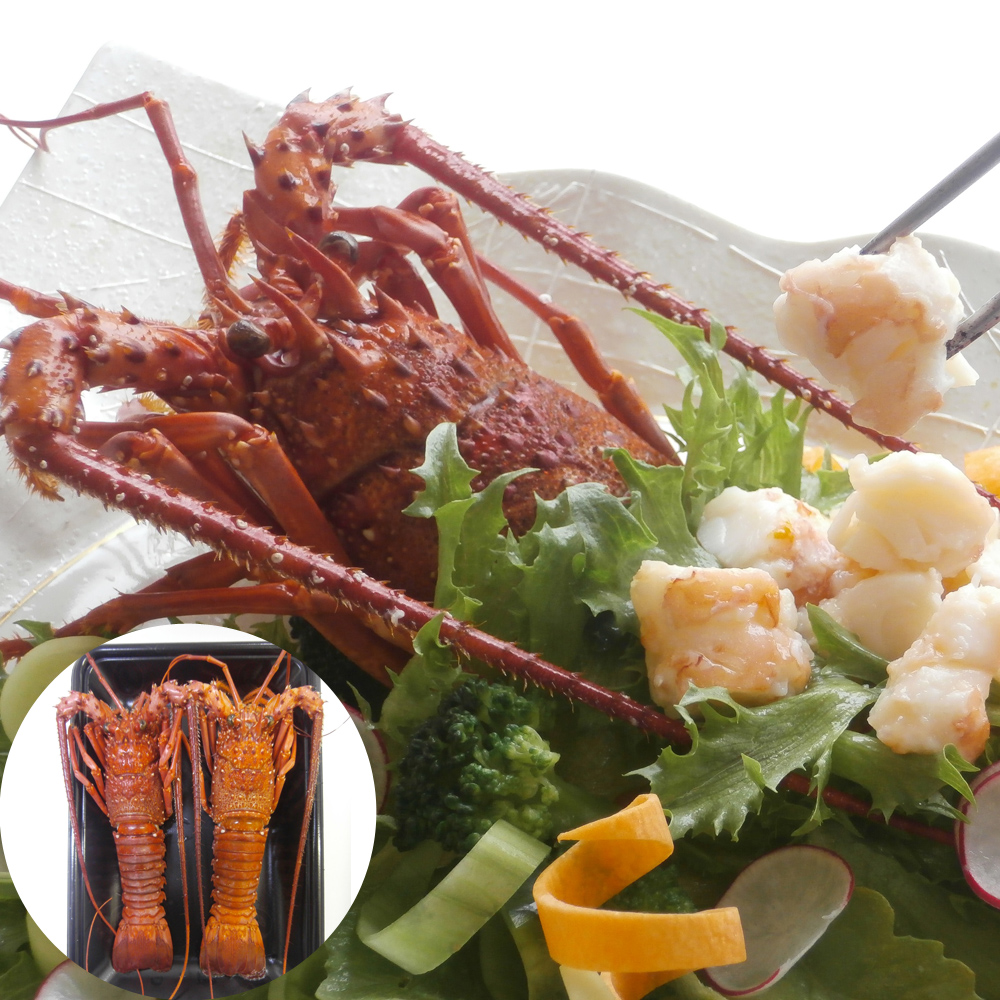 徳島県産 伊勢海老の塩蒸し 2尾セット 天然塩使用 贈答用