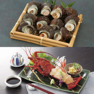 徳島 天然伊勢海老とサザエ詰合せ 贅沢海鮮ギフト