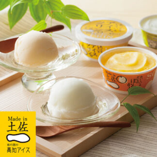 高知アイスセット 10個入り 土佐の素材使用 ギフト ご当地アイス