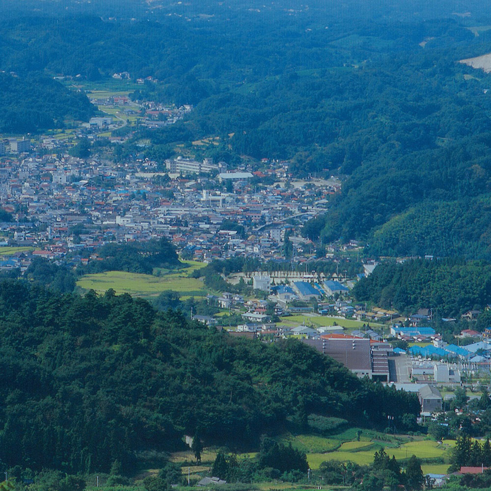 川俣シャモ詰め合わせ サイコロステーキ ソーセージ 福島県産 - 画像 (3)
