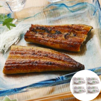 静岡焼きうなぎ 国産 120g×8 冷凍 うなぎ蒲焼き 鰻 ウナギ