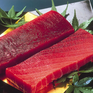 天然南まぐろ赤身&中とろセット 柵取り 静岡県産 高級ギフト