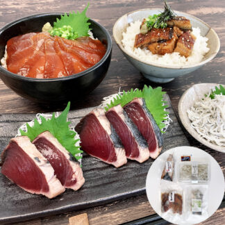 静岡盛り 海の幸詰合せ まぐろ かつお しらす うなぎ 静岡グルメ ギフト