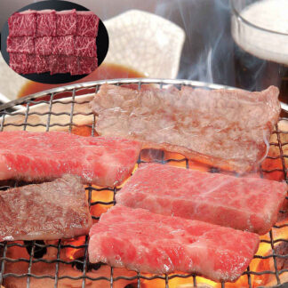 飛騨牛 焼肉用 もも肉 450g 冷凍 牛肉 黒毛和牛 A5 A4 ギフト
