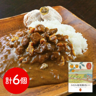 柿カレー お肉屋さんのこだわり みなみ信州 160g×6個 レトルト
