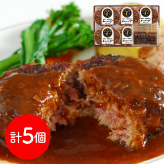 飛騨牛＆飛騨豚ハンバーグ詰合せ10個 冷凍 ギフト