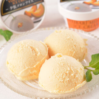 北海道 夕張メロンアイス17個 ギフト プレミアム 生乳使用