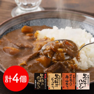 三田屋総本家 カレー＆ハヤシセット 4種 詰め合わせ 送料無料