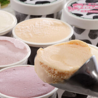 十勝白い牧場アイス 80ml×10個 北海道産ミルク使用 ギフト