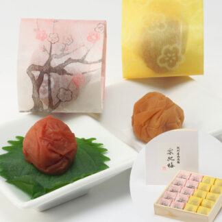 紀州南高梅干し 楽紀梅 20個入 個包装 贈答用 梅干 うめぼし