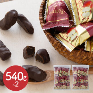 りんごチョコレート 540g×2 蜜りんご×ダークチョコ 個包装 ギフト