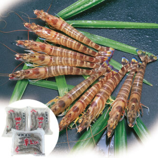 活〆冷凍車海老 3パック 沖縄・熊本産 刺身OK 急速冷凍