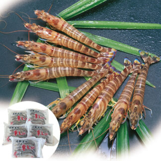 活〆冷凍車海老 5パック(計5尾 約100g) 熊本・沖縄産