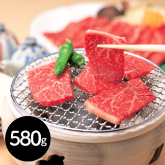 JAひだ 飛騨牛 モモ 焼肉用 580g 岐阜県産 黒毛和牛