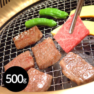 飛騨牛 肩ロース 焼肉用 500g JAひだ 岐阜県産 黒毛和牛