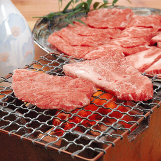 神戸牛 焼肉 500g モモ・バラ・カタ 但馬牛 A5ランク 黒毛和牛 ギフト