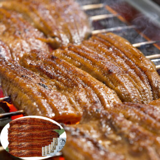 宮崎県産うなぎ蒲焼 長焼800g(160g×5尾) 山道養鰻